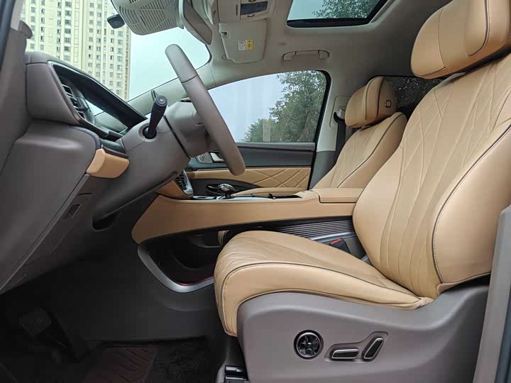 Фото 3 - Denza D9