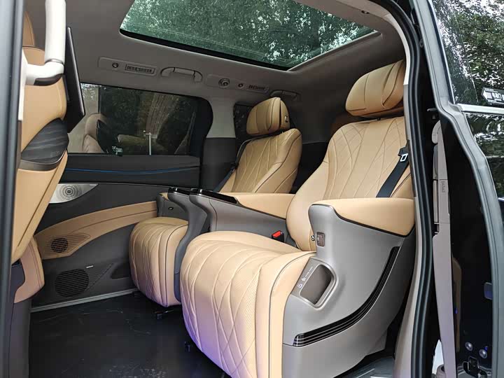 Фото 4 - Denza D9