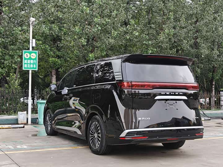 Фото 6 - Denza D9