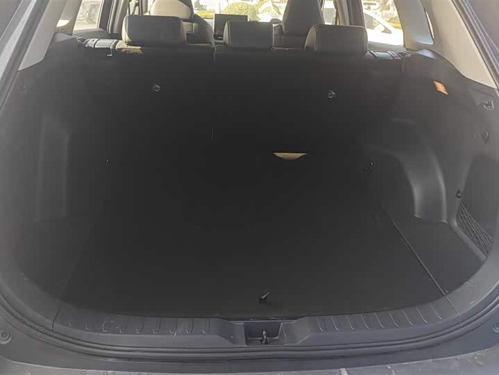 Фото 4 - Toyota Wildlander