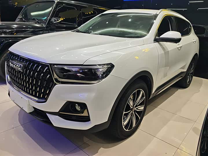 Фото 1 - Haval H6