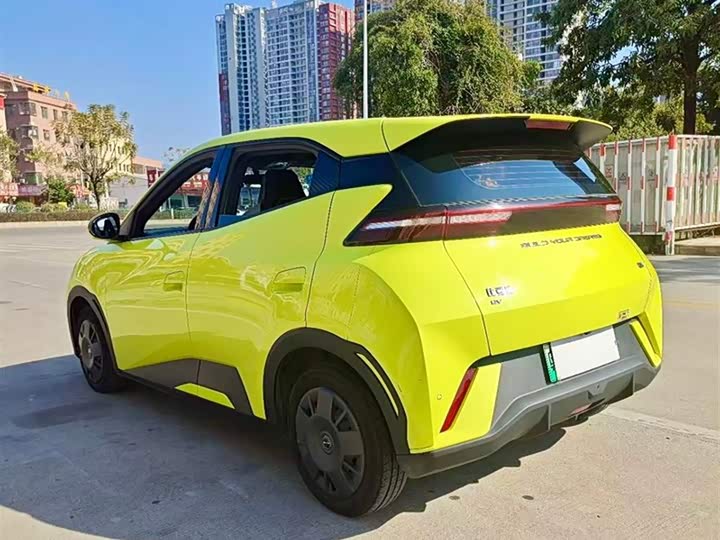 Фото 9 - BYD Seagull