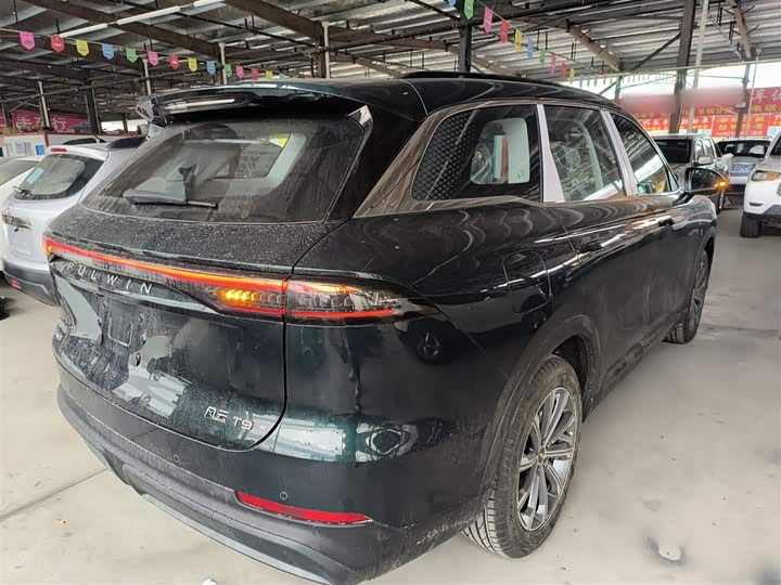 Фото 7 - Chery Fulwin T9