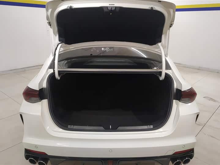 Фото 4 - GAC Trumpchi Empow R