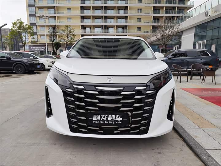 Фото 2 - BYD Xia