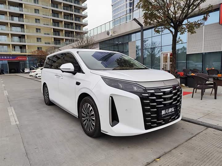 Фото 3 - BYD Xia