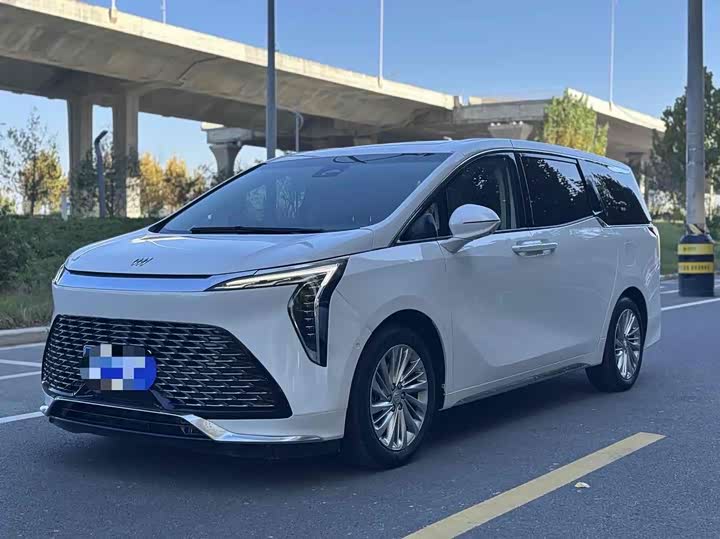 Фото 4 - Buick GL8 Century