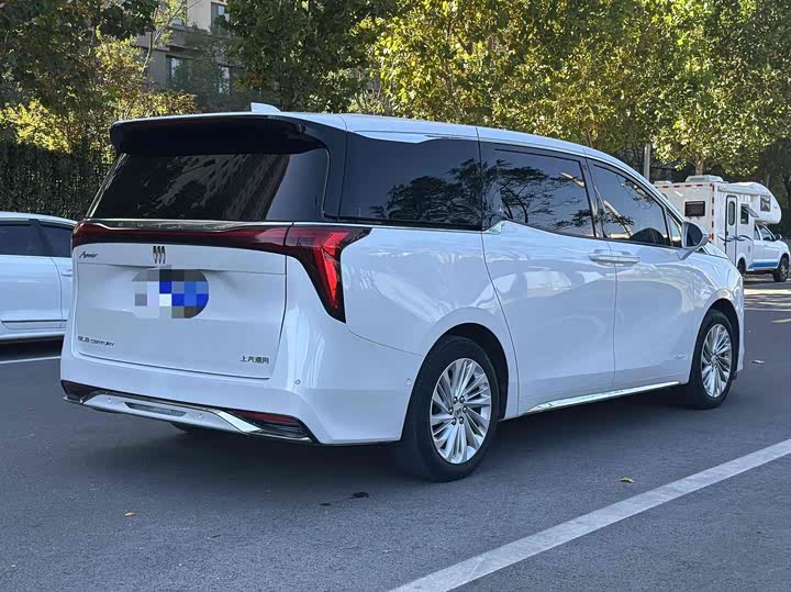 Фото 7 - Buick GL8 Century