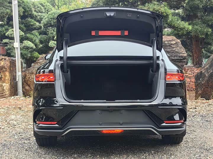 Фото 6 - BYD Han