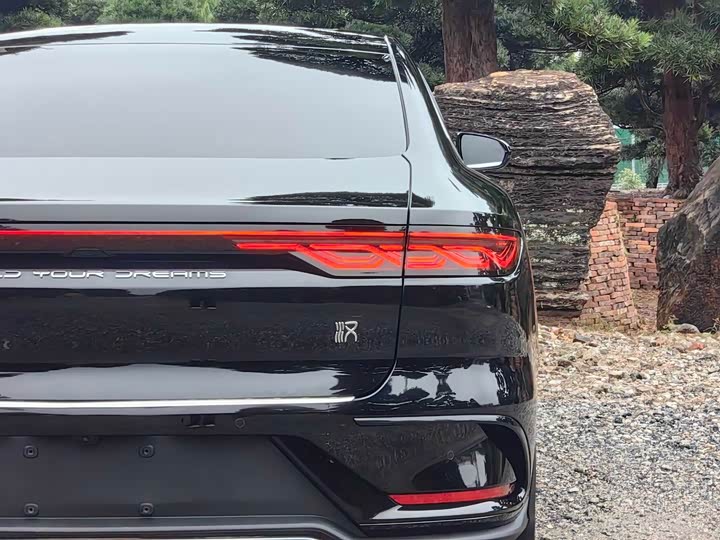 Фото 9 - BYD Han