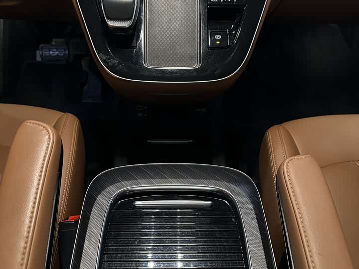 Фото 5 - Hongqi HQ9 Hybrid