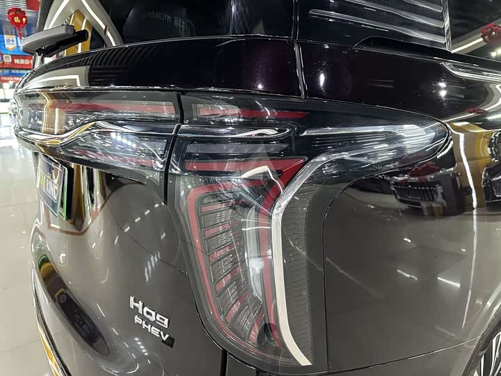 Фото 9 - Hongqi HQ9 Hybrid