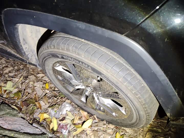 Фото 6 - Toyota Wildlander