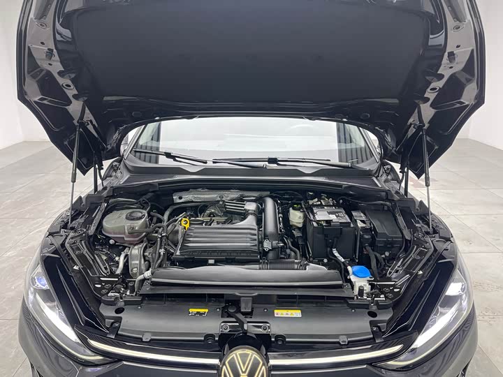 Фото 9 - Volkswagen Lamando L