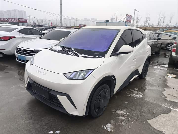 Фото 2 - BYD Seagull