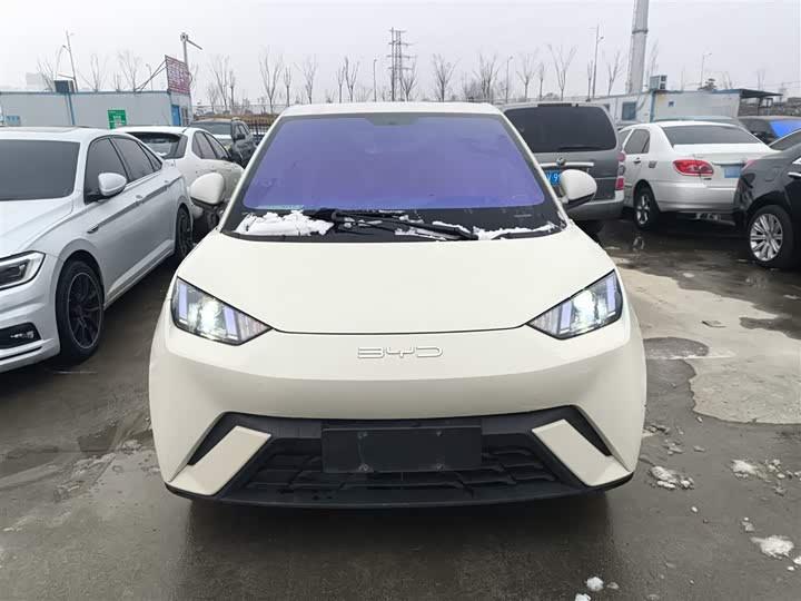 Фото 3 - BYD Seagull