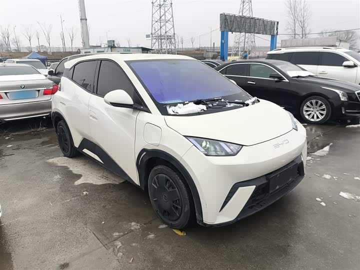 Фото 4 - BYD Seagull