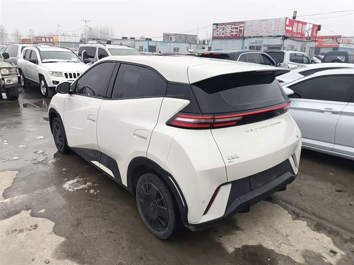 Фото 5 - BYD Seagull