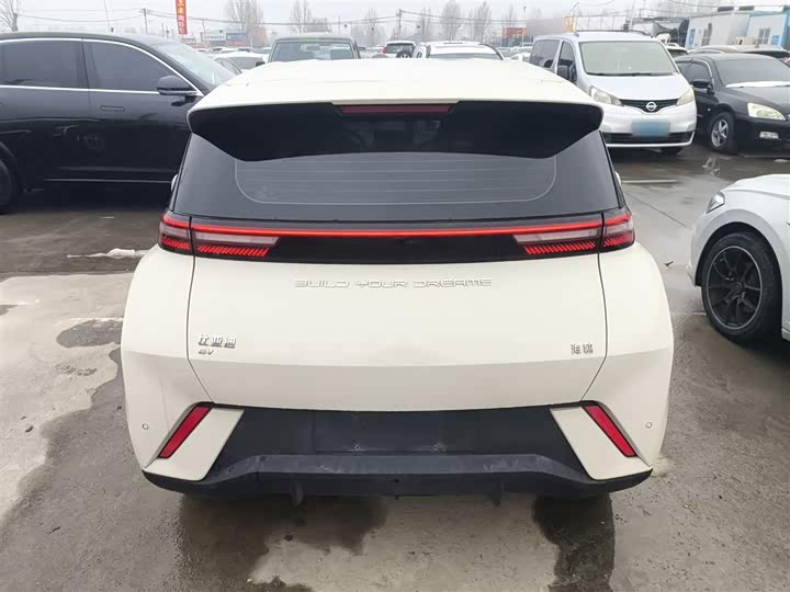 Фото 6 - BYD Seagull