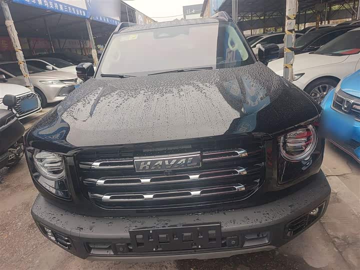 Фото 3 - Haval Dargo