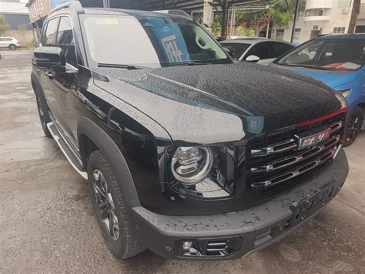 Фото 4 - Haval Dargo