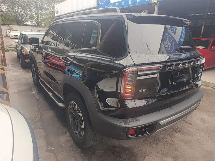 Фото 5 - Haval Dargo