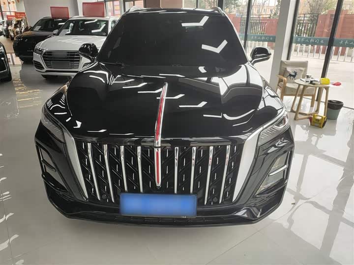 Фото 3 - Hongqi HS5