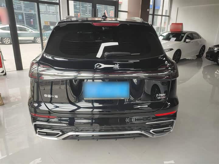Фото 6 - Hongqi HS5