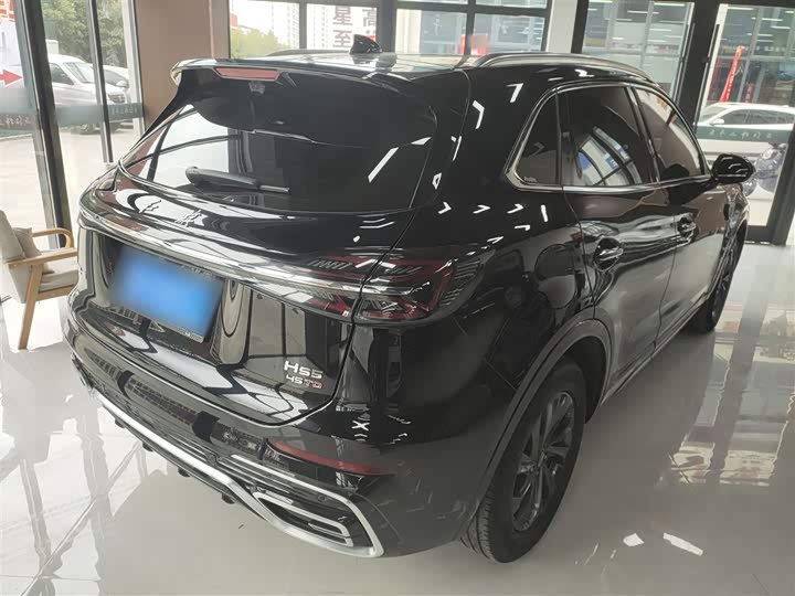 Фото 7 - Hongqi HS5