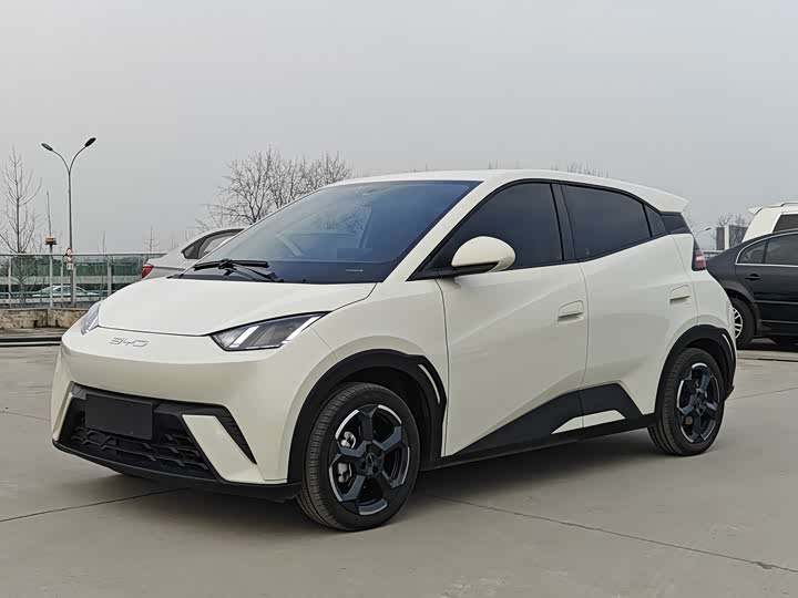 Фото 1 - BYD Seagull