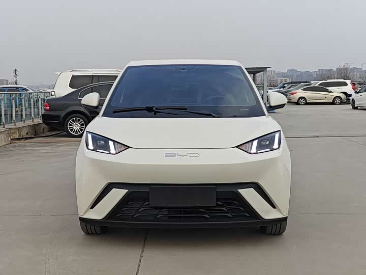 Фото 2 - BYD Seagull