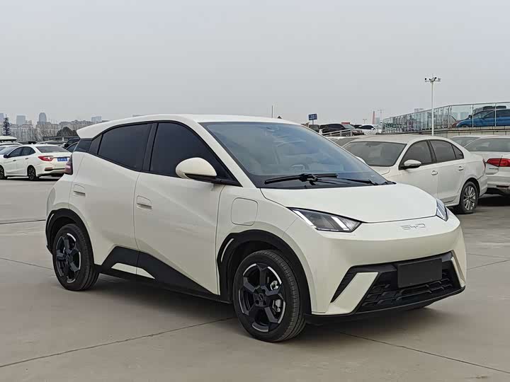 Фото 3 - BYD Seagull