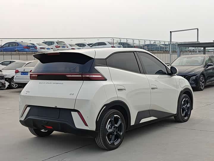 Фото 4 - BYD Seagull