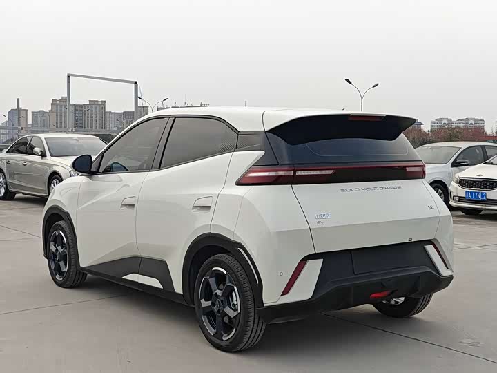 Фото 6 - BYD Seagull