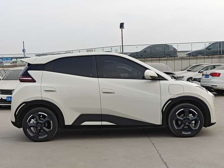 Фото 8 - BYD Seagull