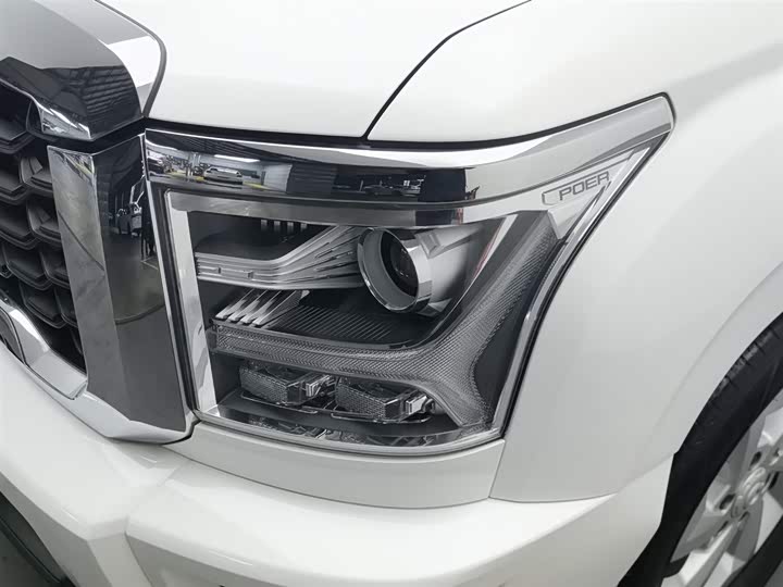 Фото 7 - Great Wall King Kong Poer