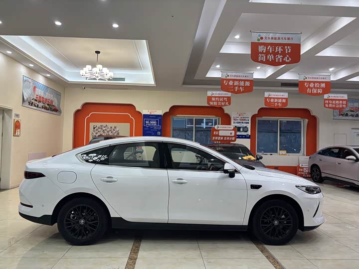 Фото 4 - BYD Qin Plus