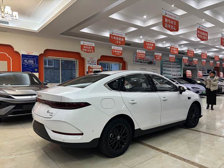 Фото 5 - BYD Qin Plus