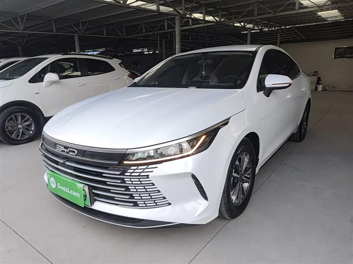 Фото 2 - BYD Destroyer 05