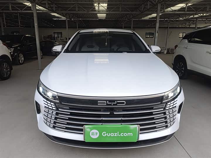 Фото 3 - BYD Destroyer 05