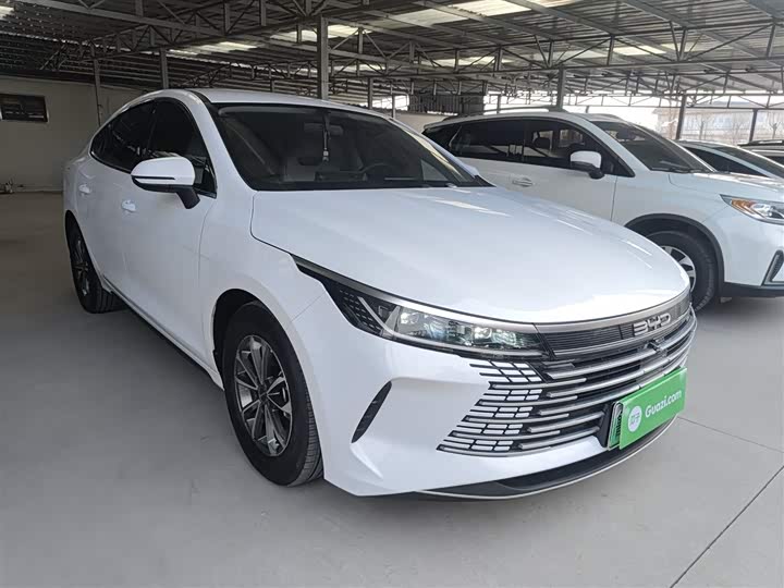 Фото 4 - BYD Destroyer 05