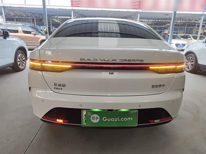 Фото 6 - BYD Destroyer 05