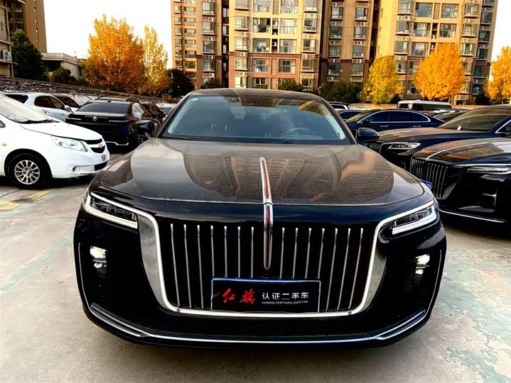 Фото 3 - Hongqi H9