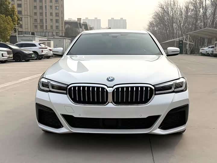 Фото 2 - BMW 5 Series Hybrid