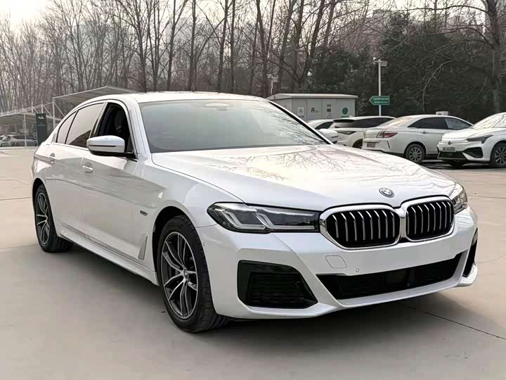 Фото 3 - BMW 5 Series Hybrid