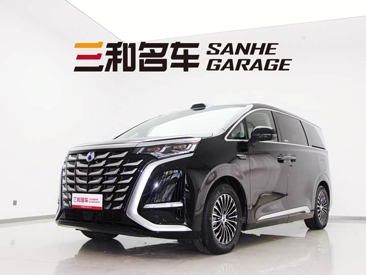 Фото 1 - Denza D9