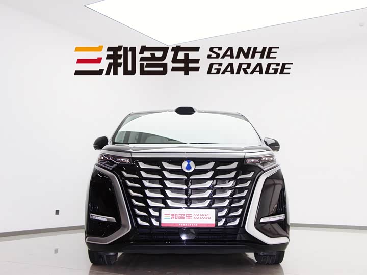 Фото 3 - Denza D9