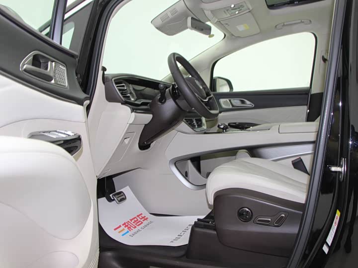 Фото 8 - Denza D9