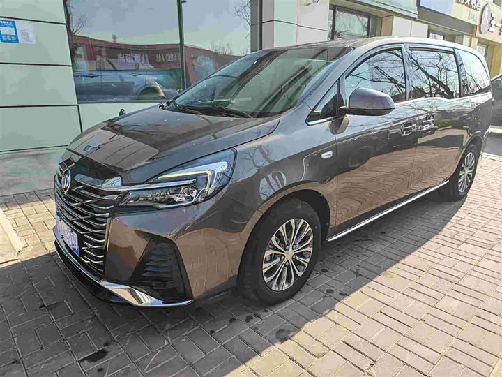 Фото 1 - Buick GL8 ES