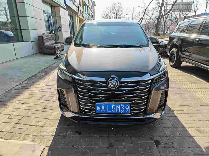 Фото 2 - Buick GL8 ES